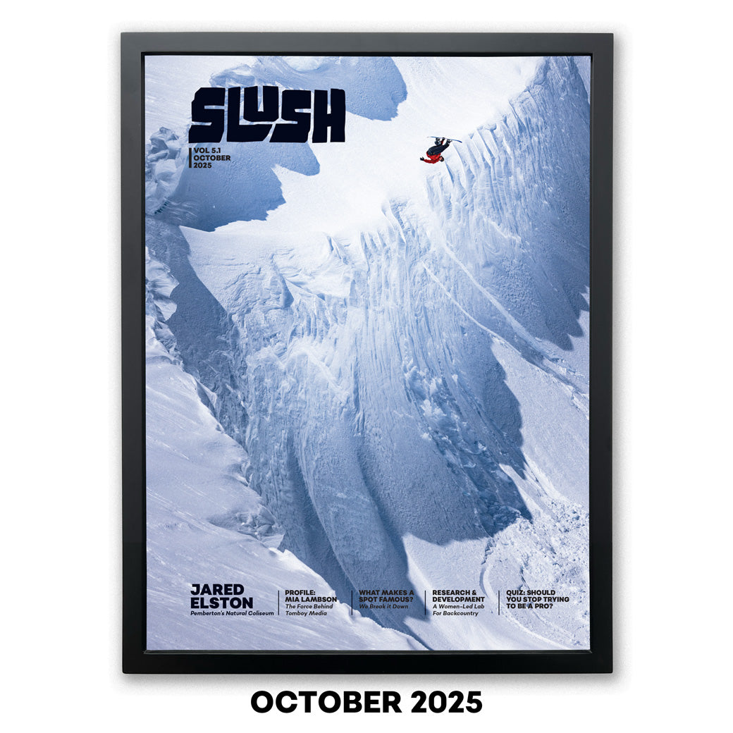 OCTOBER 2025 - OVERSIZE JARED ELSTON COVER POSTER – Slush Magazine
