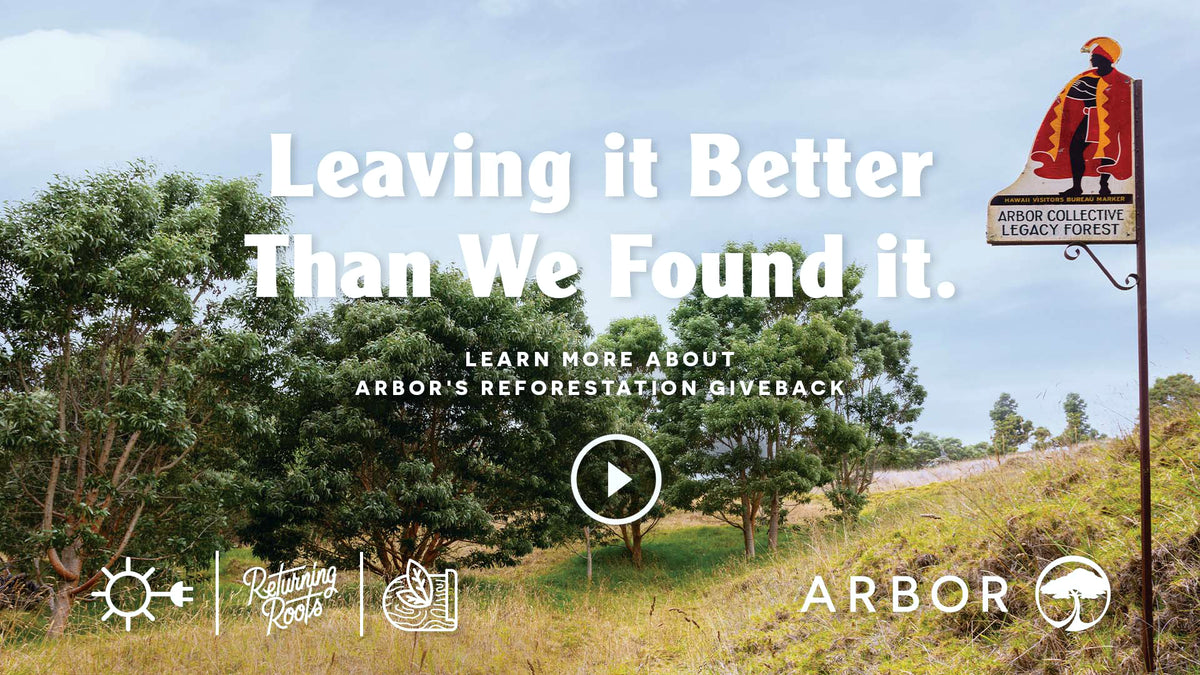 Returning Roots—Arbor's Reforestation Giveback – Slush Magazine