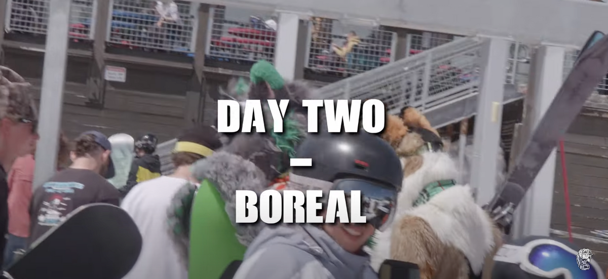 Academy Snowboards at Boreal Slush Magazine