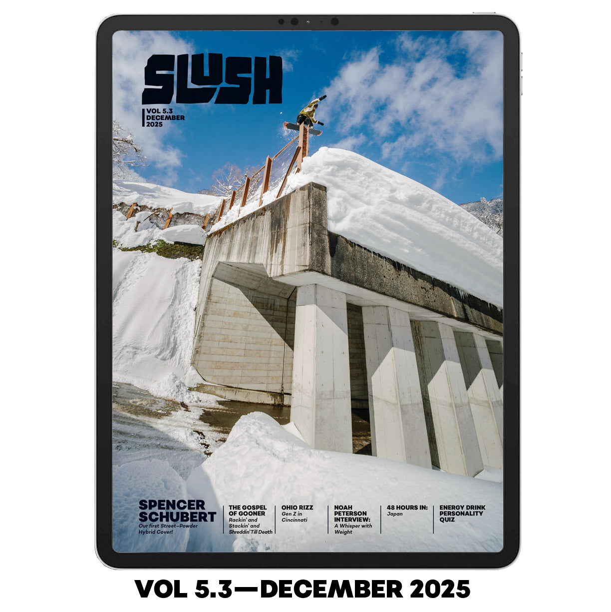 Slush Digital Subscription